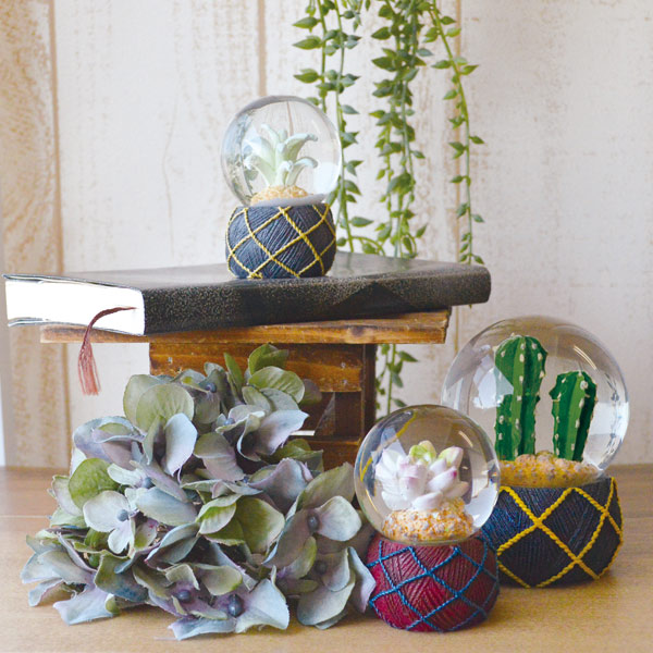 スノードーム テラリウム S 多肉植物 完成品 （ スノーグローブ