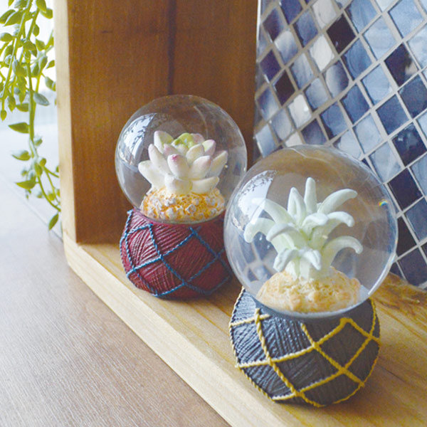 スノードーム テラリウム S 多肉植物 完成品 （ スノーグローブ