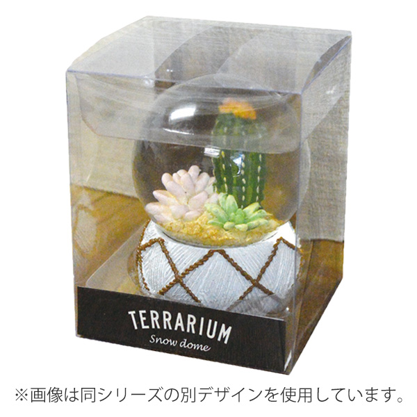 スノードーム テラリウム S 多肉植物 完成品 （ スノーグローブ