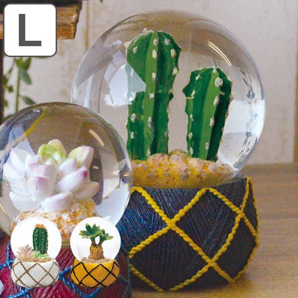 スノードーム テラリウム L 多肉植物 完成品 （ スノーグローブ