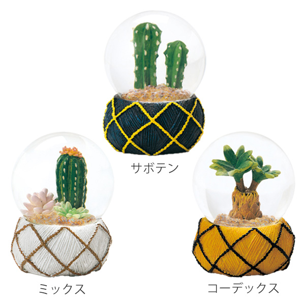 スノードーム テラリウム L 多肉植物 完成品 （ スノーグローブ