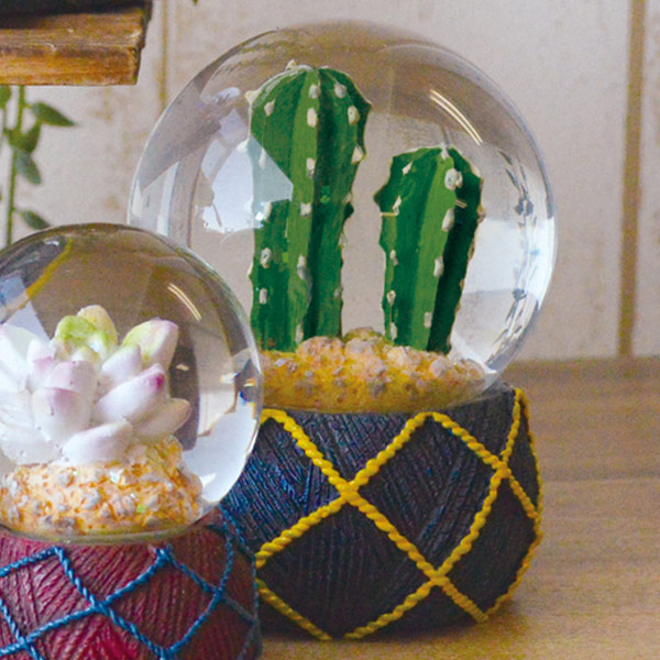 スノードーム テラリウム L 多肉植物 完成品 （ スノーグローブ