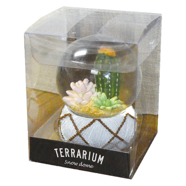 スノードーム テラリウム L 多肉植物 完成品 （ スノーグローブ