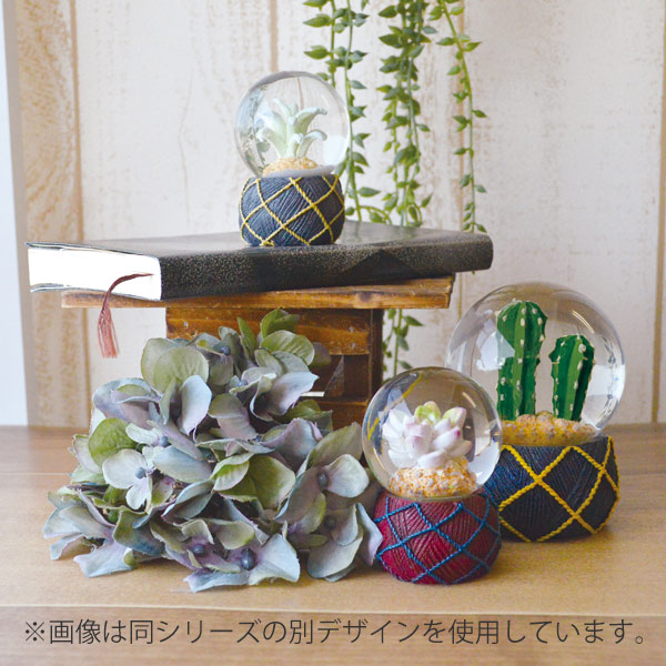 スノードーム テラリウム L 多肉植物 完成品 （ スノーグローブ