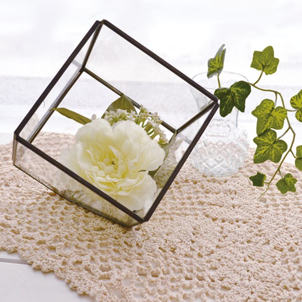 テラリウム スクエア S ガラス ディスプレイケース （ ガラス容器 栽培