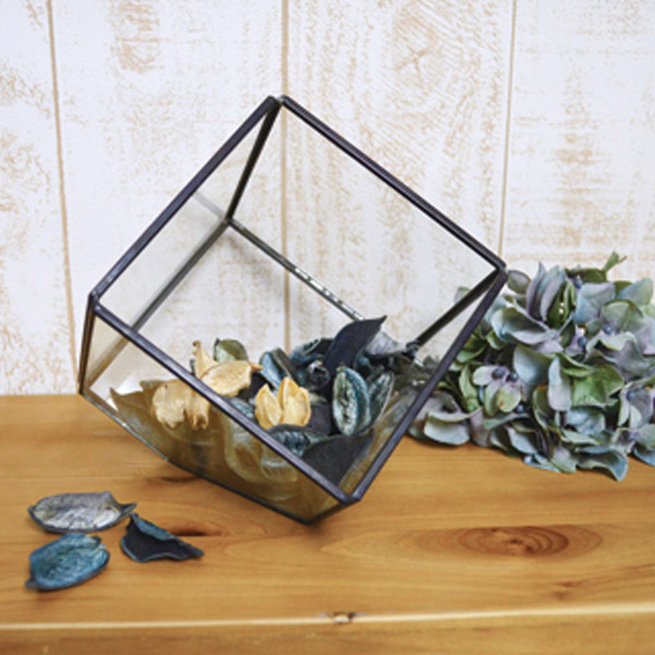 テラリウム スクエア S ガラス ディスプレイケース （ ガラス容器 栽培