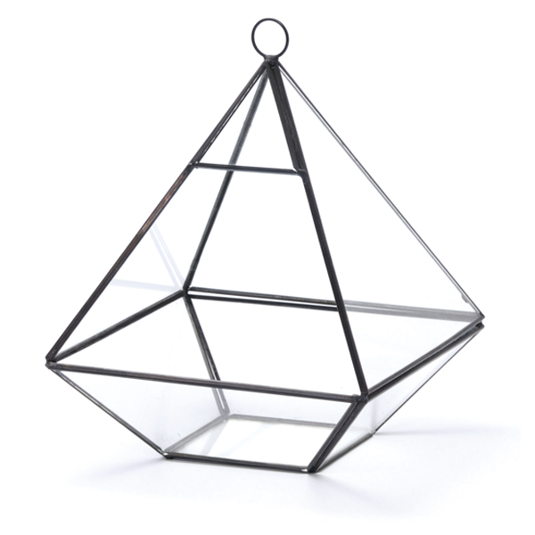 テラリウム トライアングル W ガラス ディスプレイケース （ ガラス