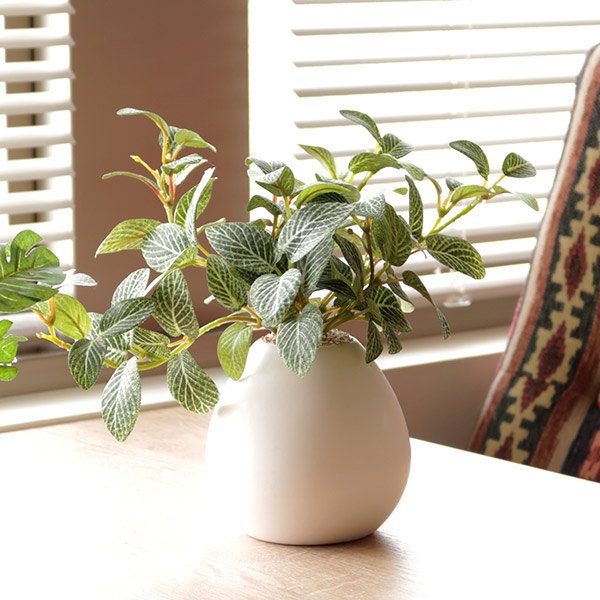 光触媒　人工観葉植物　フェイクグリーン　お供えフルーツバスケット 人工観葉植物 フィットニア 18cm フェイクグリーン 造花 光触媒