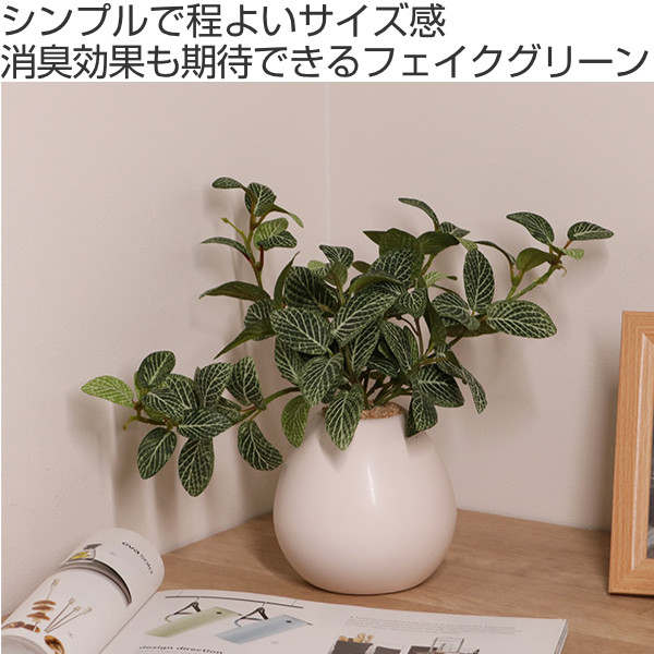人工観葉植物 フィットニア 18cm フェイクグリーン 造花 光触媒
