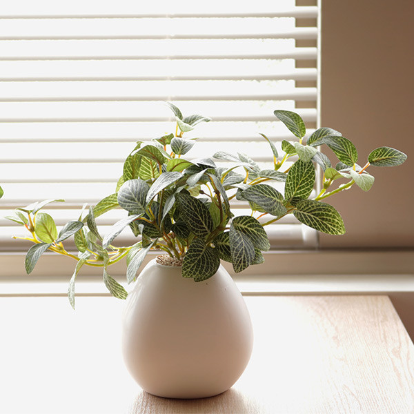 人工観葉植物 フィットニア 18cm フェイクグリーン 造花 光触媒