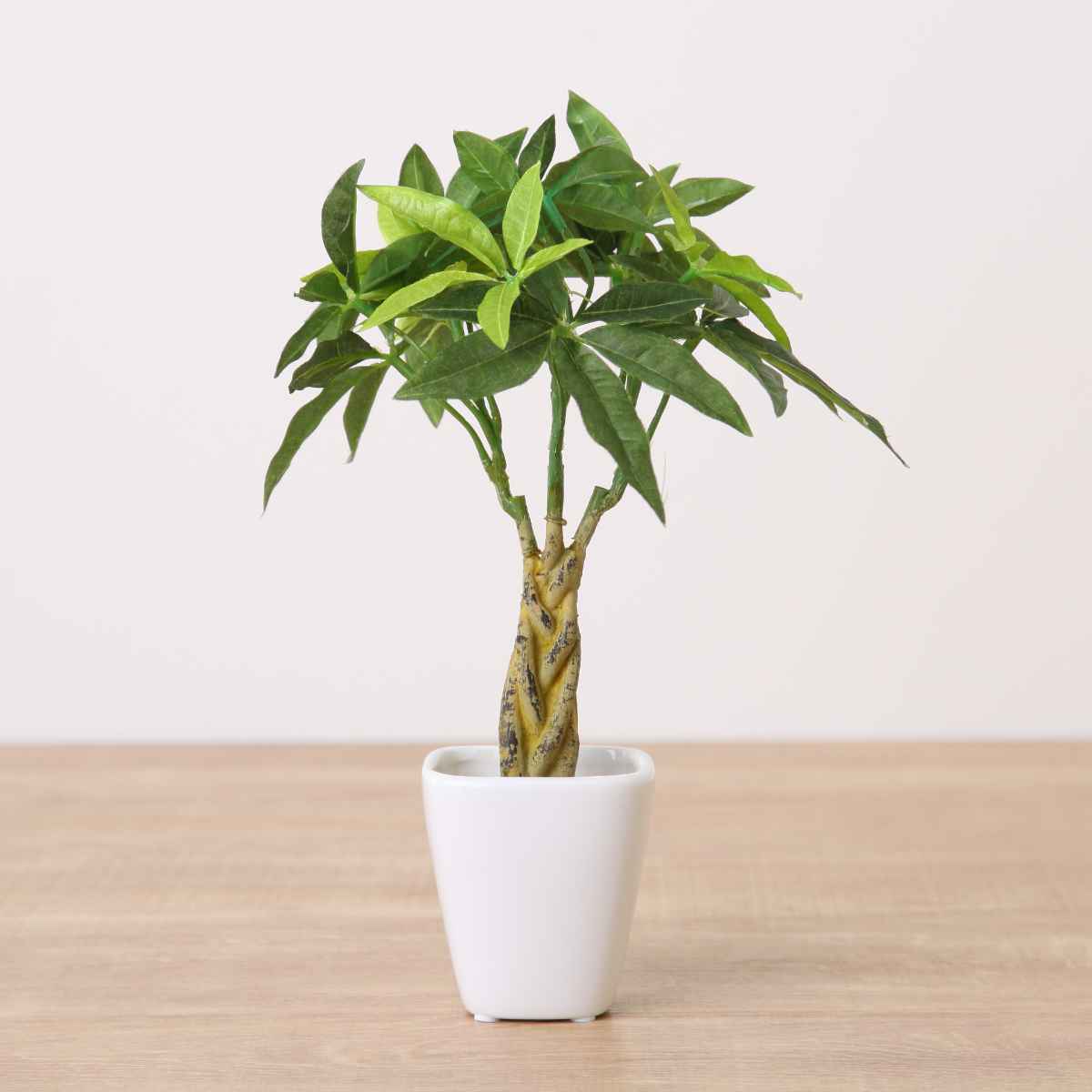 人工観葉植物 パキラ 27cm 観葉植物 造花 光触媒 （ ミニ 卓上