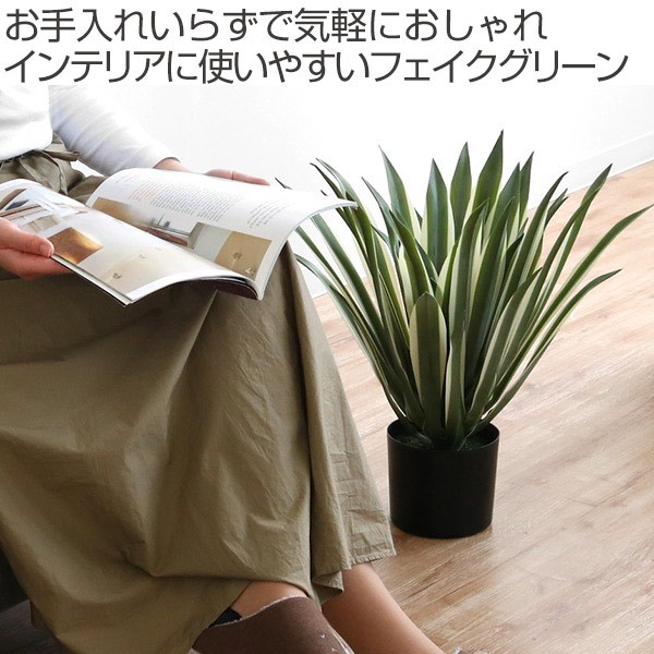 東谷 人工観葉植物 アガベ 50cm フェイクグリーン 造花 （ 観葉植物