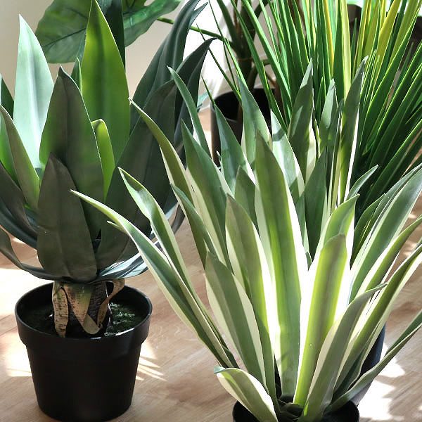 東谷 人工観葉植物 アガベ 50cm フェイクグリーン 造花 （ 観葉植物