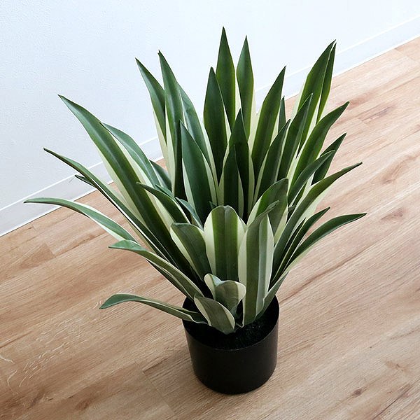 東谷 人工観葉植物 アガベ 50cm フェイクグリーン 造花 （ 観葉植物