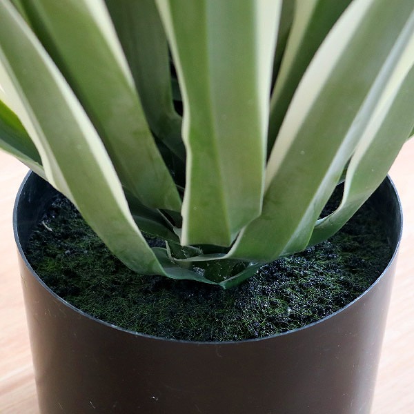 東谷 人工観葉植物 アガベ 50cm フェイクグリーン 造花 （ 観葉植物