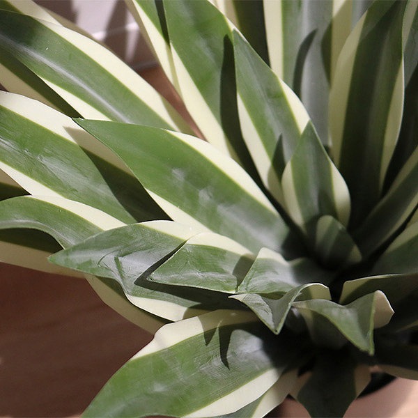 東谷 人工観葉植物 アガベ 50cm フェイクグリーン 造花 （ 観葉植物