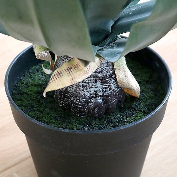 東谷 人工観葉植物 アガベ 53cm フェイクグリーン 造花 （ 観葉植物