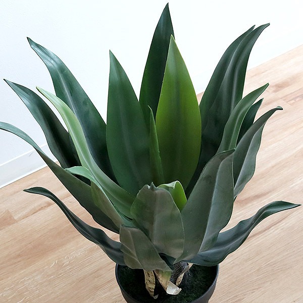 東谷 人工観葉植物 アガベ 53cm フェイクグリーン 造花 （ 観葉植物