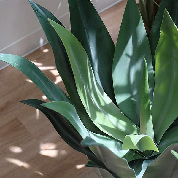 東谷 人工観葉植物 アガベ 53cm フェイクグリーン 造花 （ 観葉植物