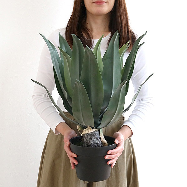 東谷 人工観葉植物 アガベ 53cm フェイクグリーン 造花 （ 観葉植物