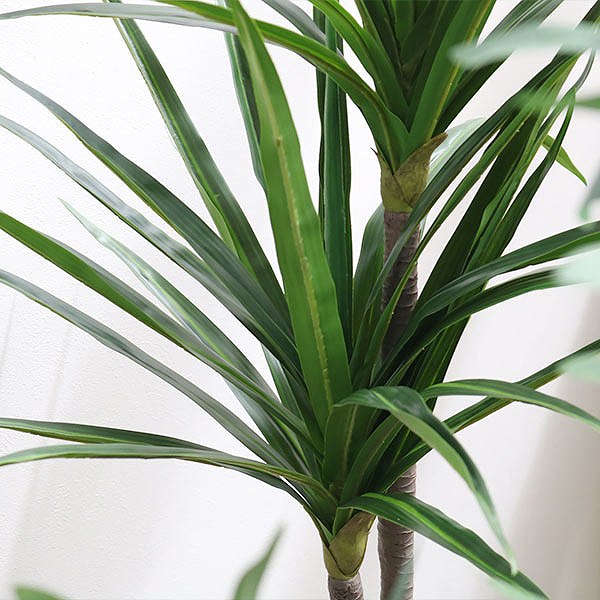 東谷 人工観葉植物 ドラセナ 84cm フェイクグリーン 造花 （ 観葉植物