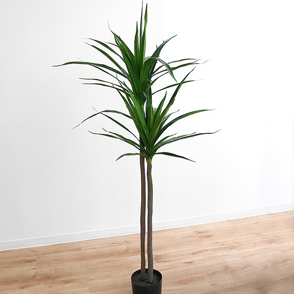 展示品 / 人工観葉植物 / フェイクグリーン / 観葉植物 / 造花 東谷 人工観葉植物 ドラセナ 84cm フェイクグリーン 造花 （ 観葉植物