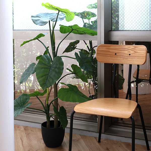 東谷 人工観葉植物 クワズイモ 117cm フェイクグリーン 造花 （ 観葉