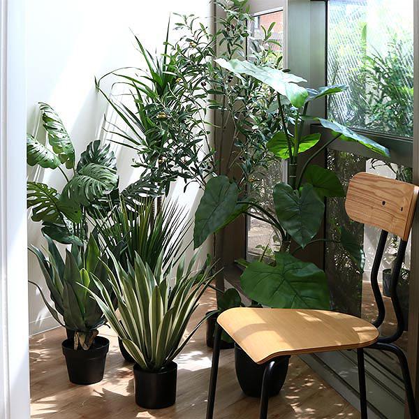 東谷 人工観葉植物 クワズイモ 117cm フェイクグリーン 造花 （ 観葉