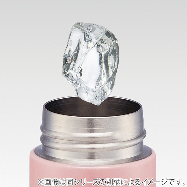 スケーター 水筒 ミニ ポケットステンマグボトル ミニオンズ 120ml