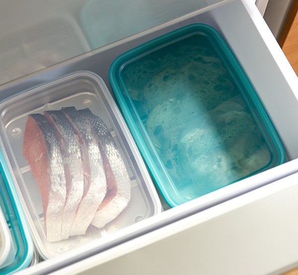 スケーター 保存容器 アルミ製 急速冷凍 1.2L Lサイズ