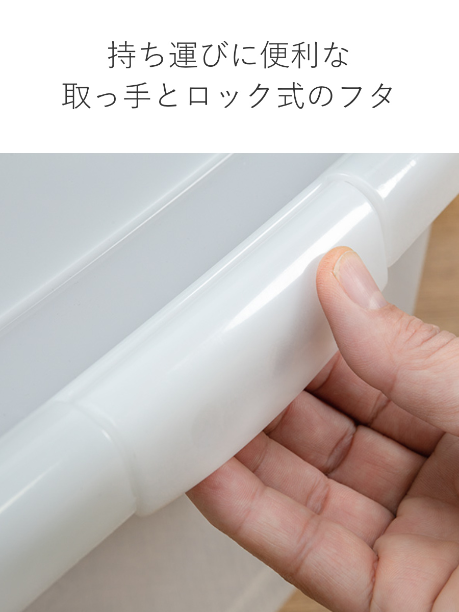 サンコープラスチック 収納ケース 幅28.5×奥行40.7×高さ18.5cm フタ
