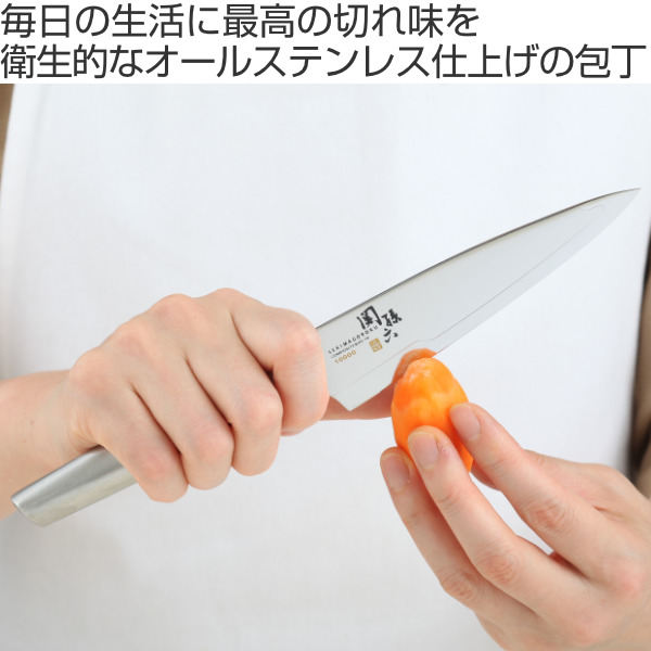 関孫六 包丁 ペティナイフ ステンレス 刃渡り 150mm 10000ST （ ぺ