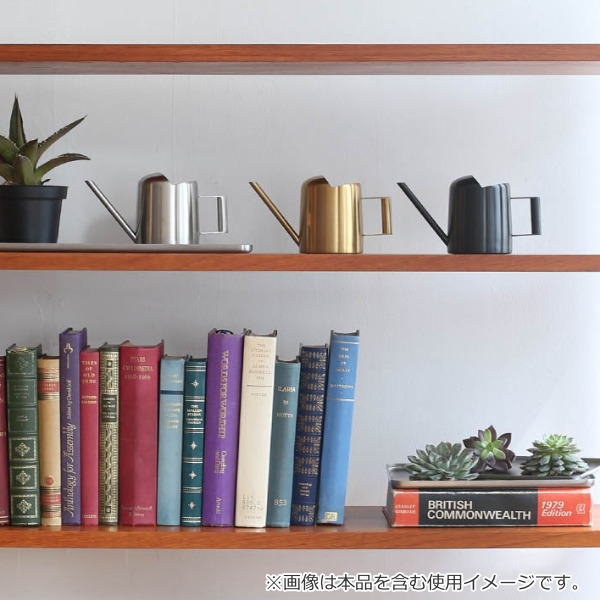 水差し ガーデニング 270ml ダルトン DULTON ステンレスピッチャー