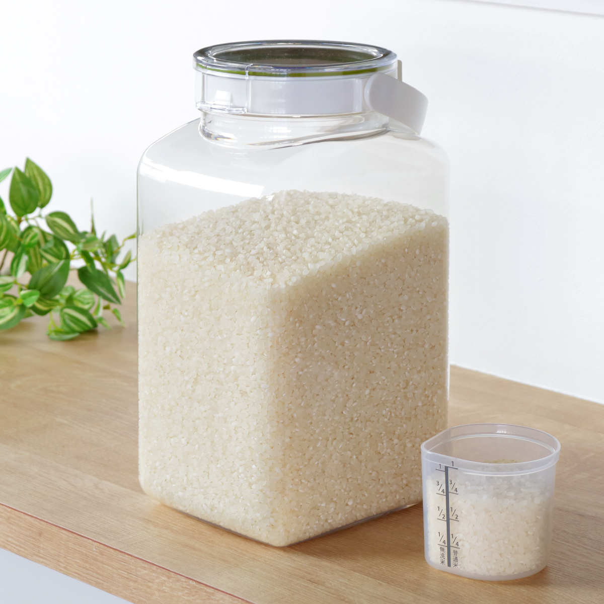 FRESHLOK 米びつ 3.2kg フレッシュロック ハンドル付き 密閉米びつ