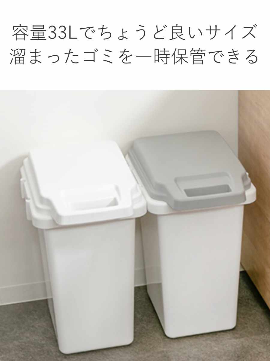 RISU（リス） ゴミ箱 33L 抗菌 防臭 密閉 ふた付き ロック機能
