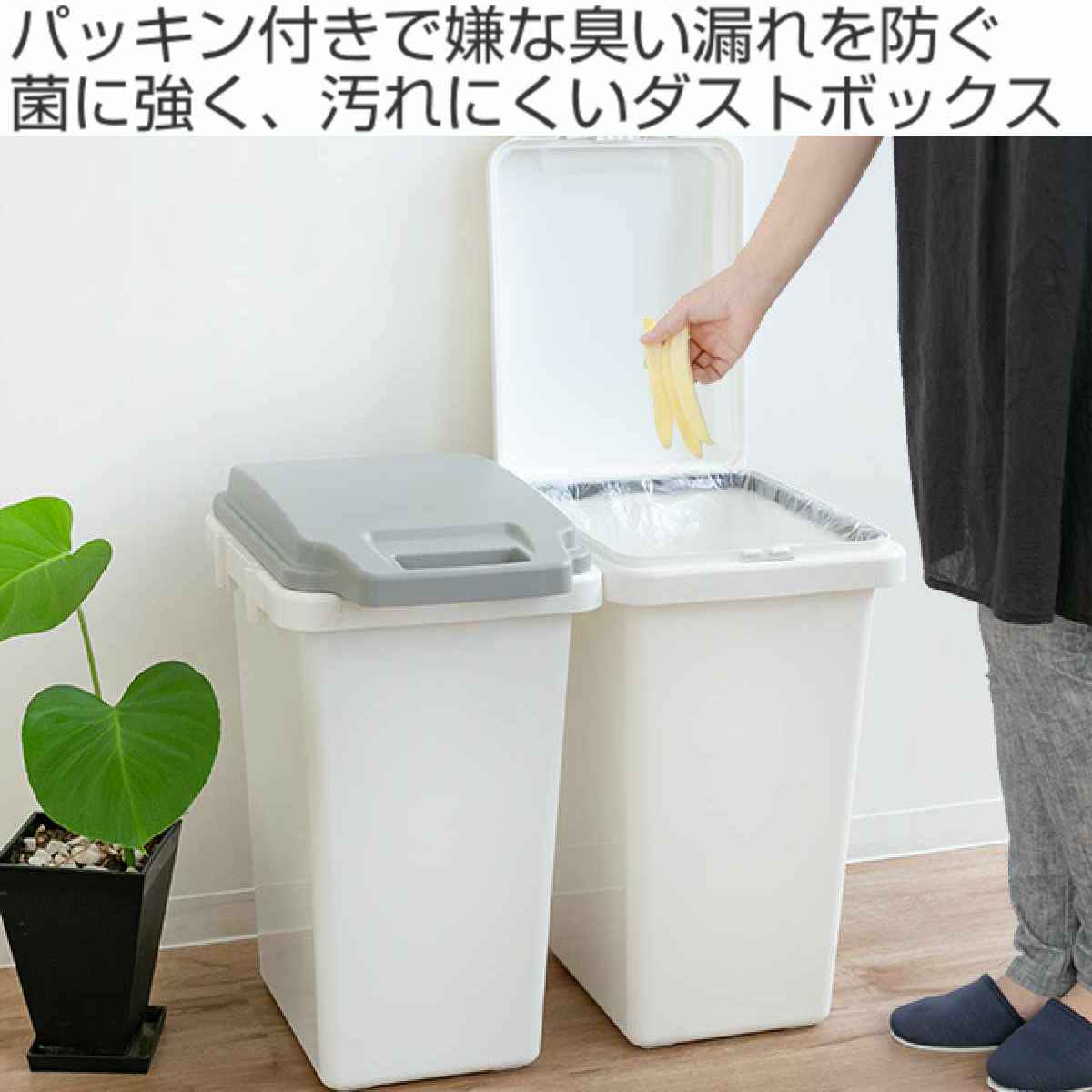 RISU（リス） ゴミ箱 47L 2個セット 抗菌 防臭 密閉 ふた付き ロック