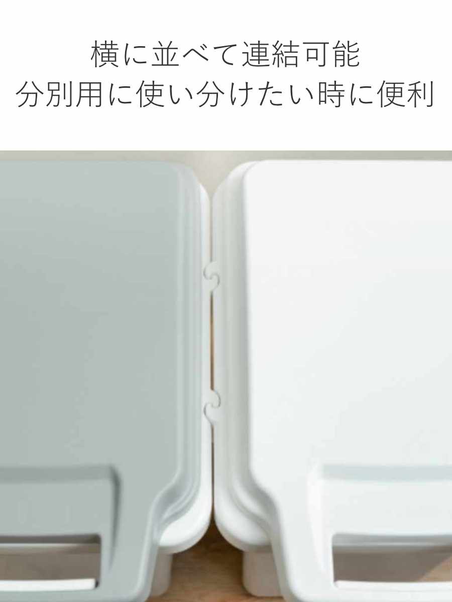 RISU（リス） ゴミ箱 47L 2個セット 抗菌 防臭 密閉 ふた付き ロック