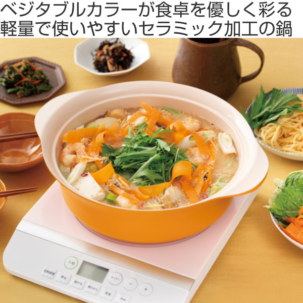 IH対応 両手中華鍋29cm（プリンセスWCI-29） IH対応 中華鍋 29cm | 日本製 - 無水鍋オンラインショップ | HALムスイ