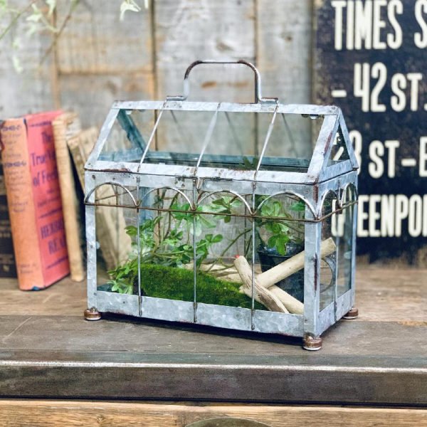 ガーデニング ガラステラリウム アンティーク　ショーディスプレイ ガーデニング ガラステラリウム アンティーク ショーディスプレイ