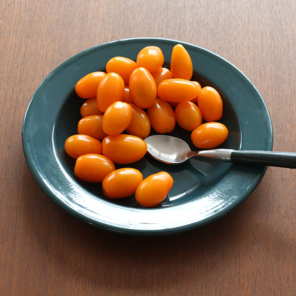 アウトドア 食器 お皿 ダルトン DULTON 直径20.6cm （ アウトドア食器