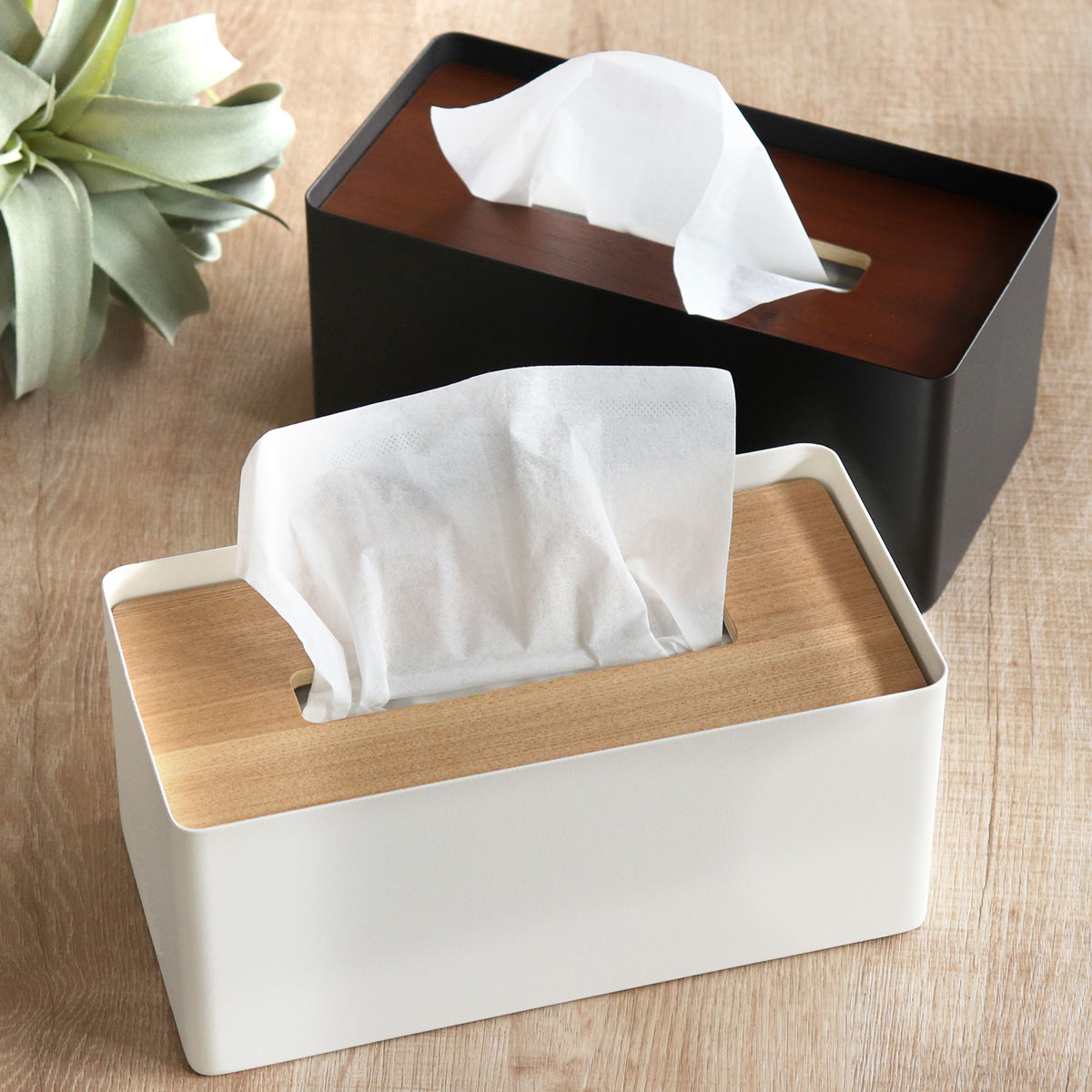 RIN（山崎実業） 山崎実業 RIN 厚型対応蓋付きティッシュケース リン