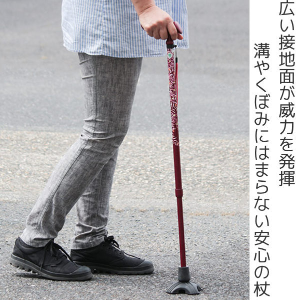 わるので 杖 つえ ツエ アルミ製 左右兼用 左右 柄杖 Sgマーク リビングート Paypayモール店 通販 Paypayモー かるがも 4点 Dx 自立式 ステッキ 伸縮 女性 介護 おしゃれ 10段階調節 四点杖 衝撃吸収 ナイロン Www Blaskogabyggd Is