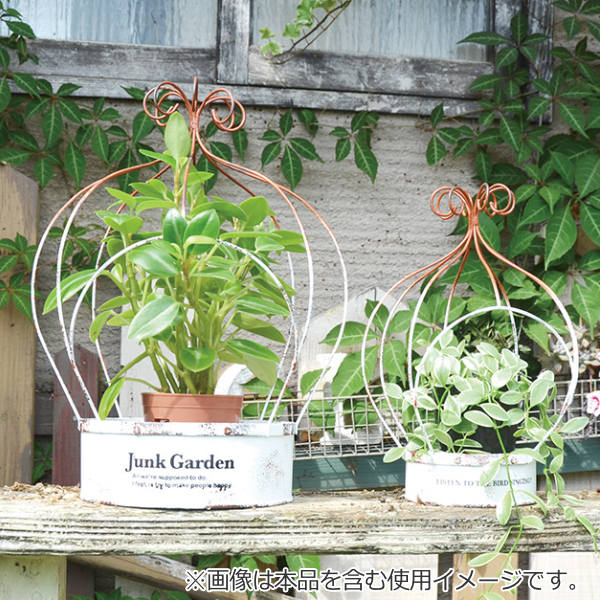 プランター ワイヤープランター 王冠型 クラウンプランター Sサイズ 幅