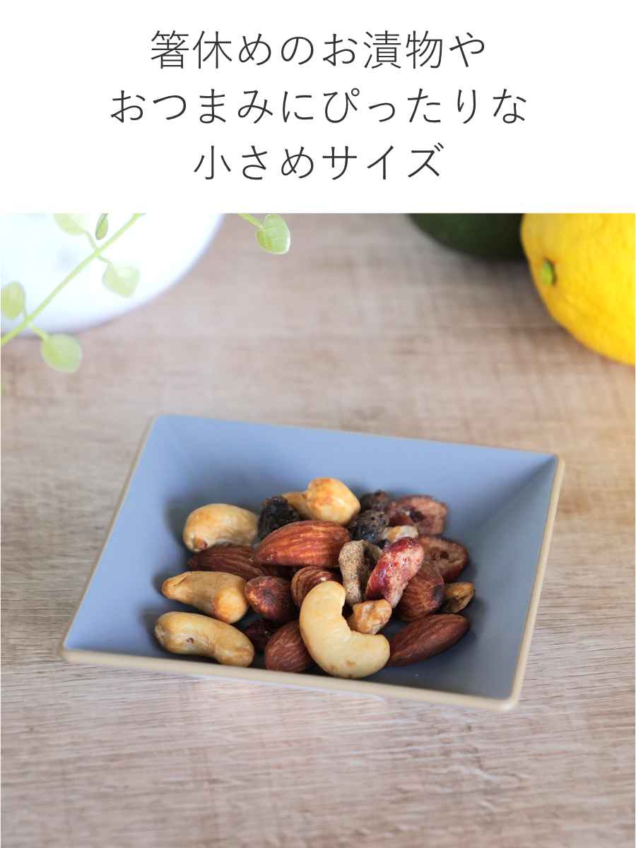宮本産業 プレート 10cm エッジライン 角皿 （ 食洗機対応 電子レンジ