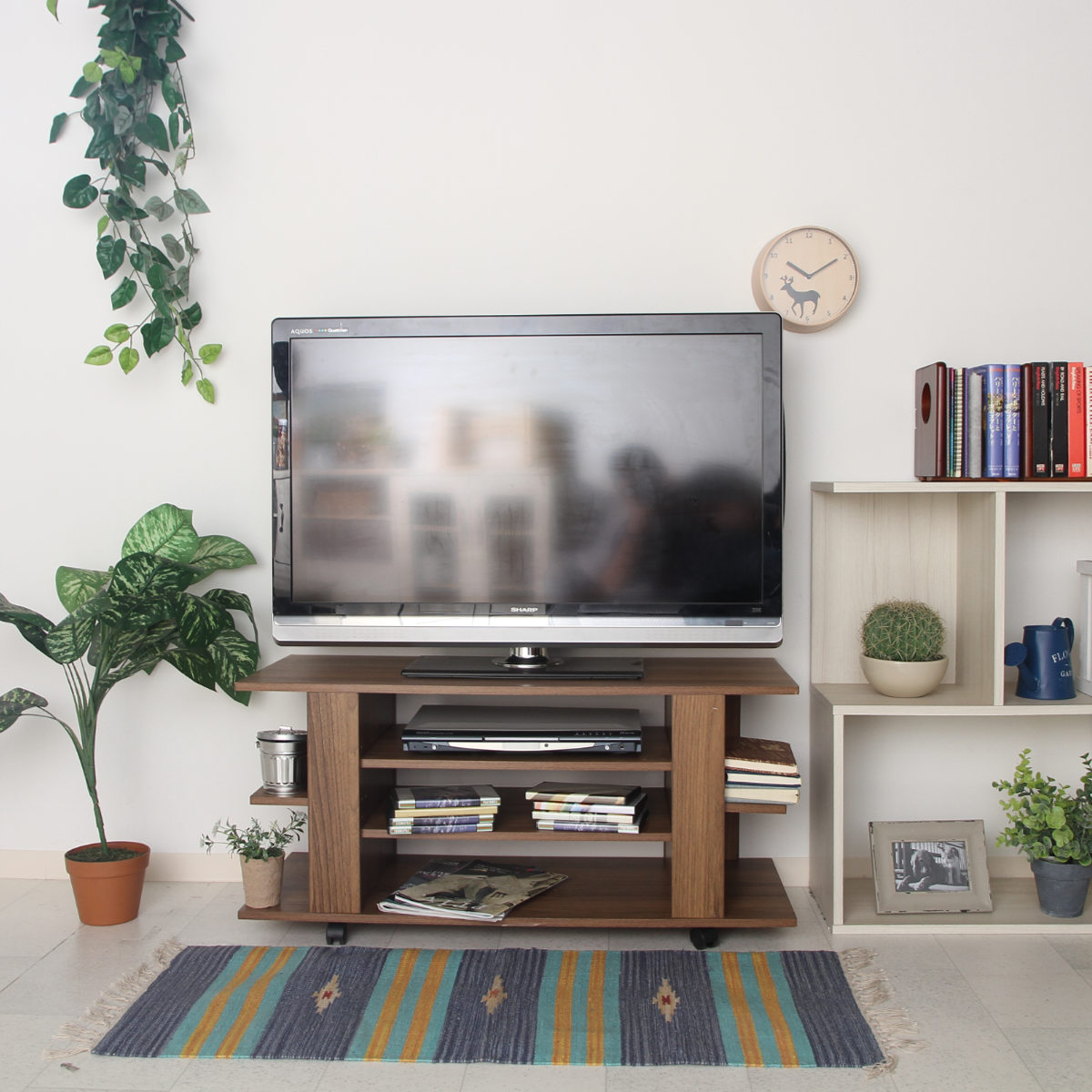 不二貿易（Fuji Boeki） テレビ台 幅100cm ローボード 木目調 オープン