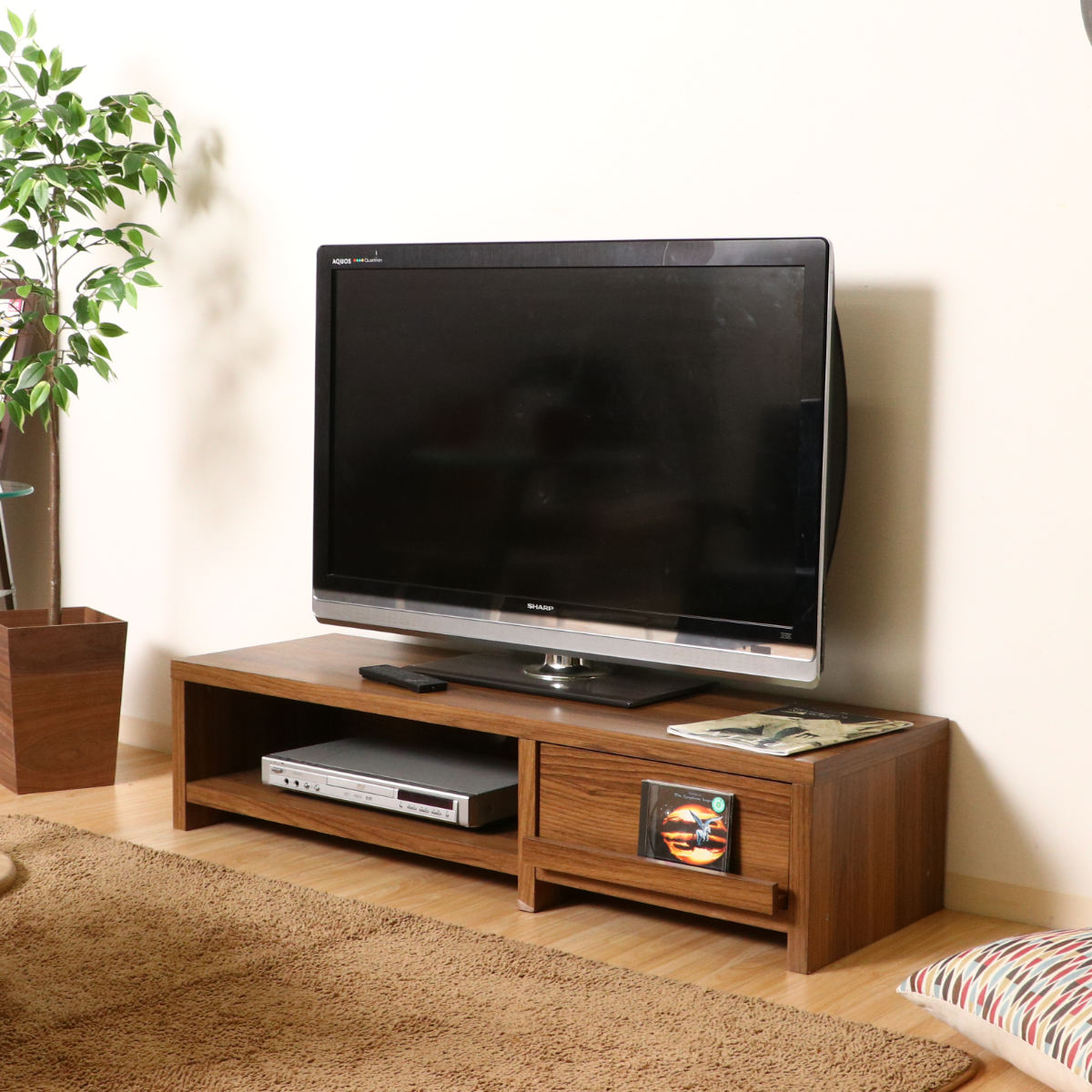 不二貿易（Fuji Boeki） テレビ台 幅120cm ローボード 木目調 シンプル