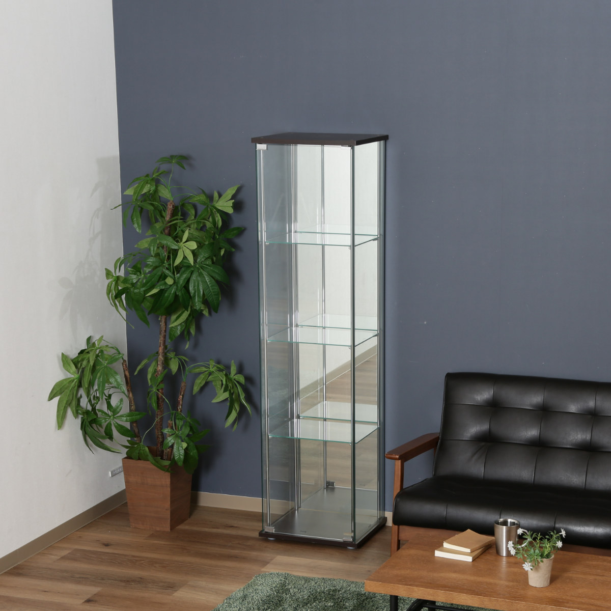 不二貿易（Fuji Boeki） ショーケース 幅42.5cm 4段 背面ミラー