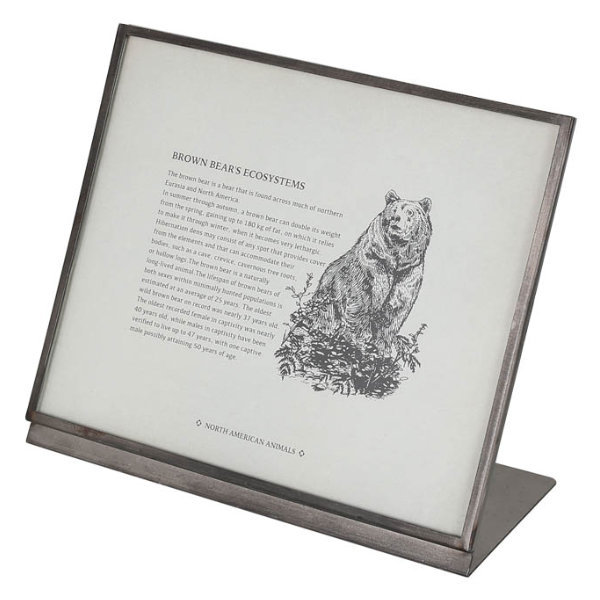 フレーム メタル 幅20.5cm ダルトン DULTON （ 写真立て フォト