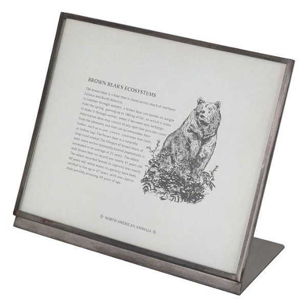 フレーム メタル 幅20.5cm ダルトン DULTON （ 写真立て フォト