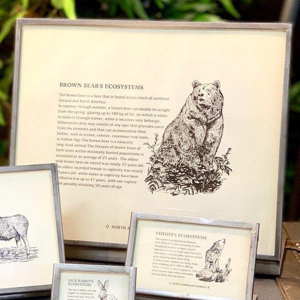 フレーム メタル 幅20.5cm ダルトン DULTON （ 写真立て フォト